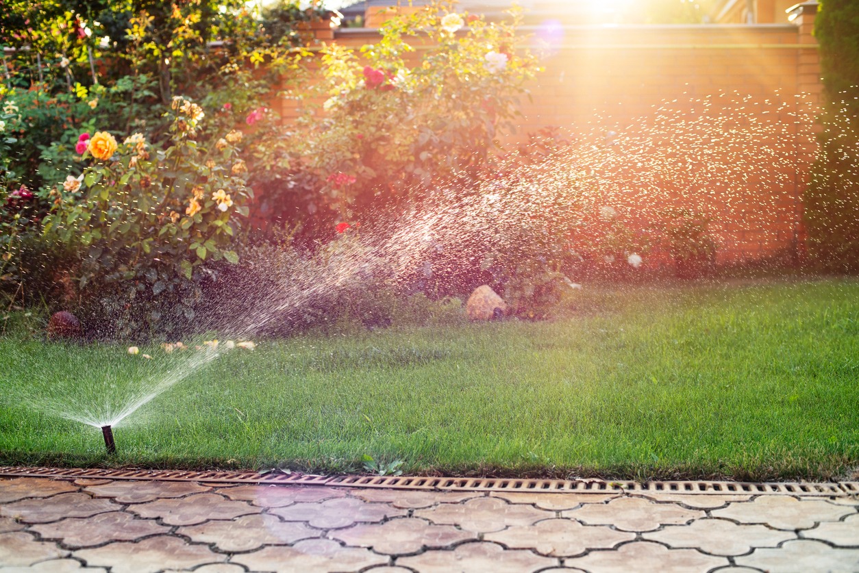 Green grass being watered with automatic sprinkler system