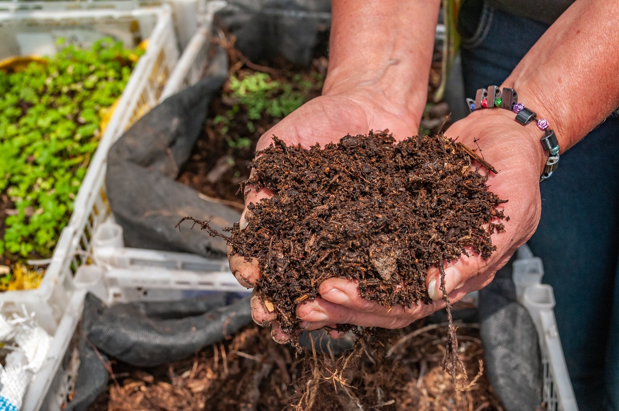 Organic garden farming and holding soil in the countryside