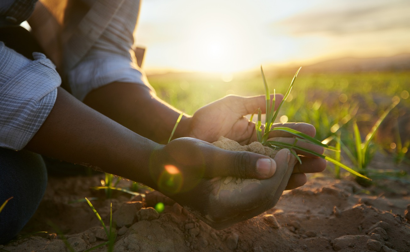 a black farmer holding soil