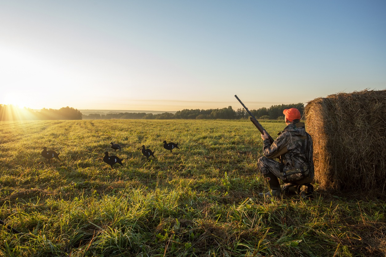 Male with a shotgun. Hunting for game birds