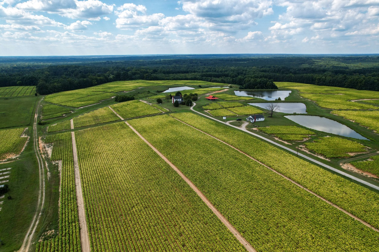 Central North Carolina Farm Country