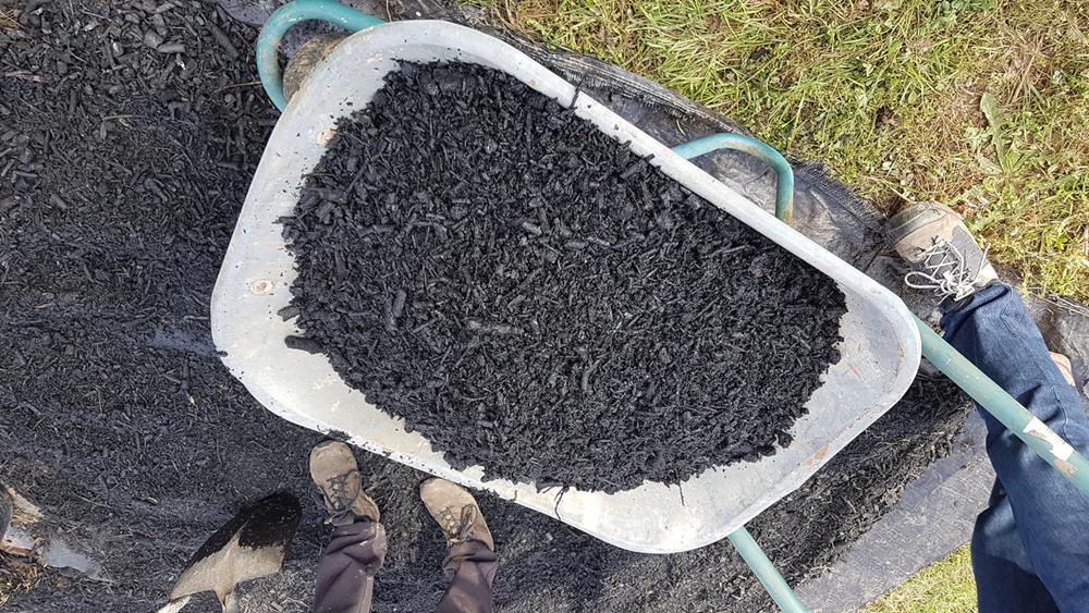 Biochar