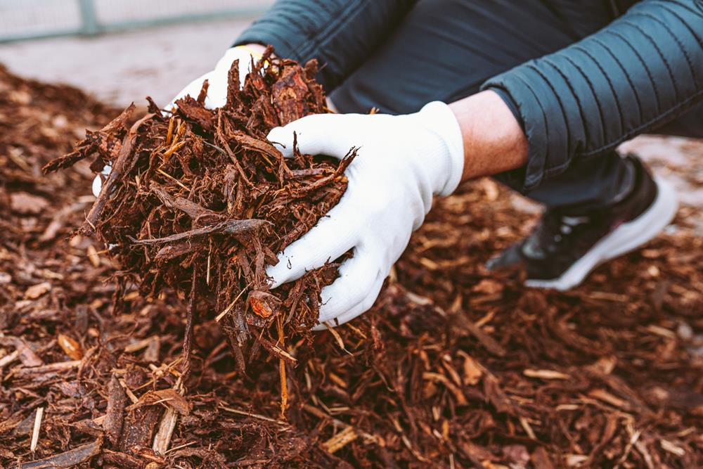 Mulch