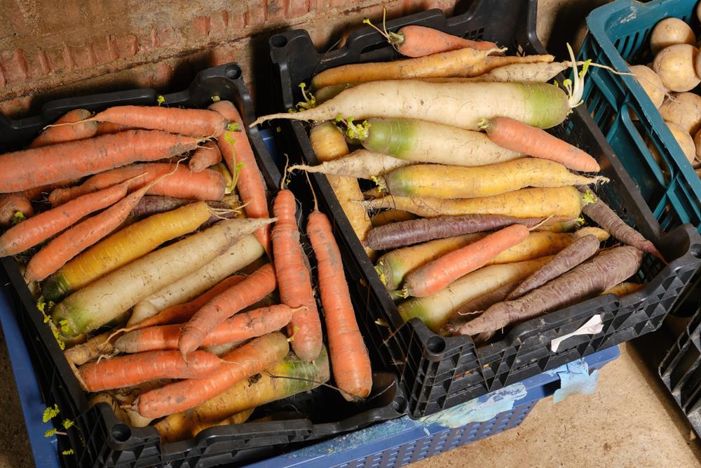 Root Cellar Storage