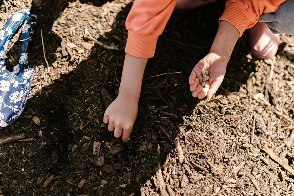 A kid planting seeds on the ground