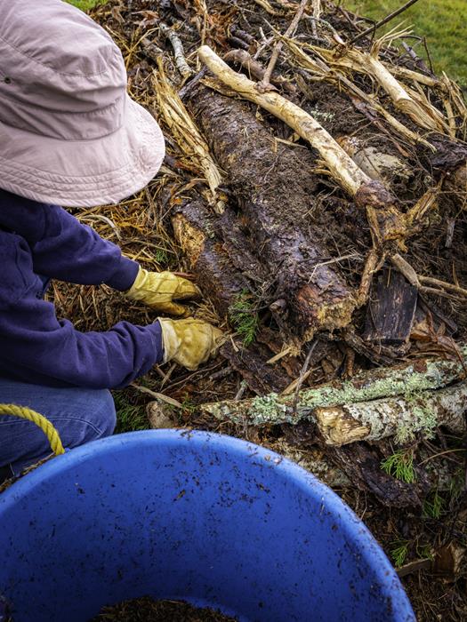 Maintaining Your Hugelkultur Garden