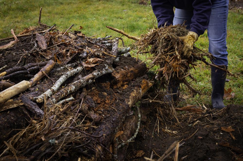 Planning Your Hugelkultur Garden