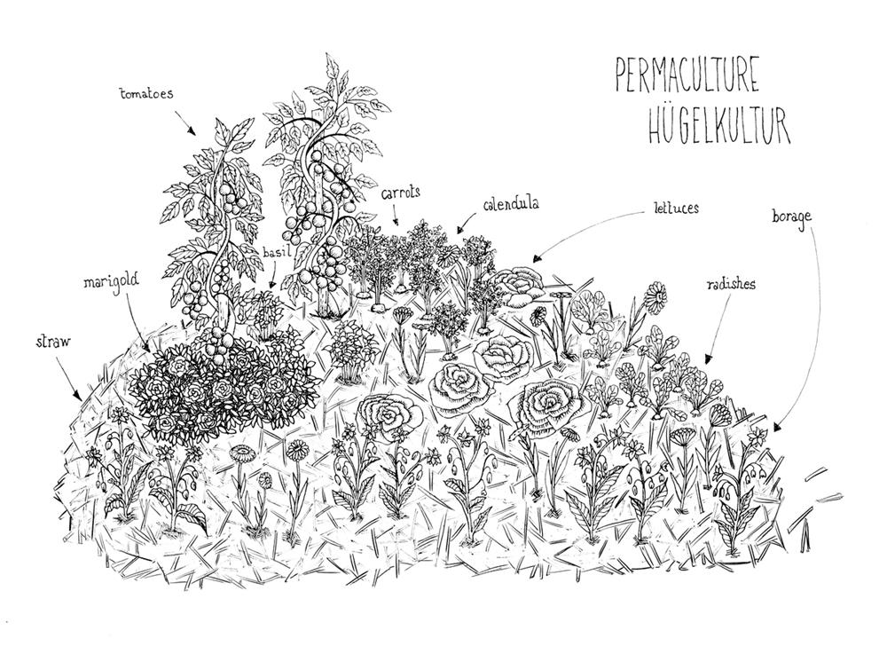 Vector illustration of a hugelkultur
