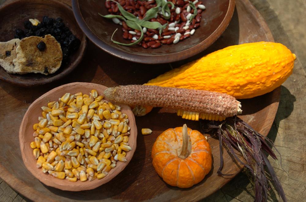 Popular Vegetable Plant Guild Examples