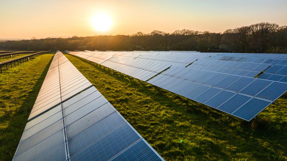 Sustainable Living Techniques
