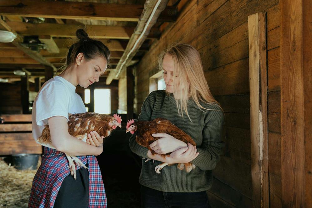Women with chickens