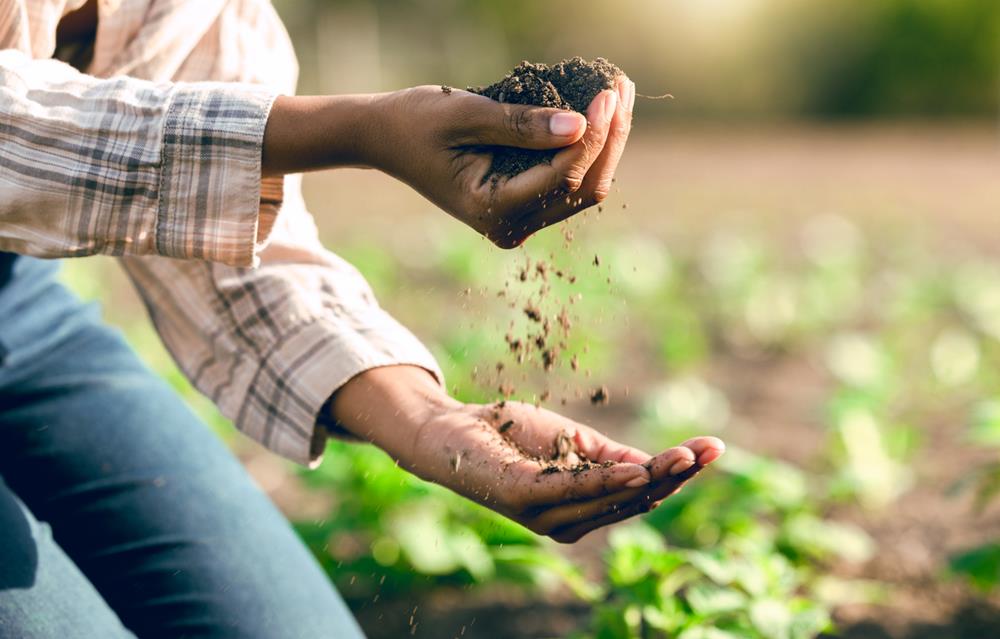 Benefits for Soil Health and Water Conservation
