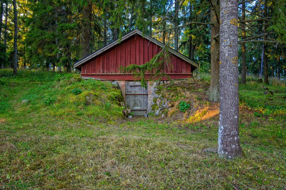 How to Build a Root Cellar