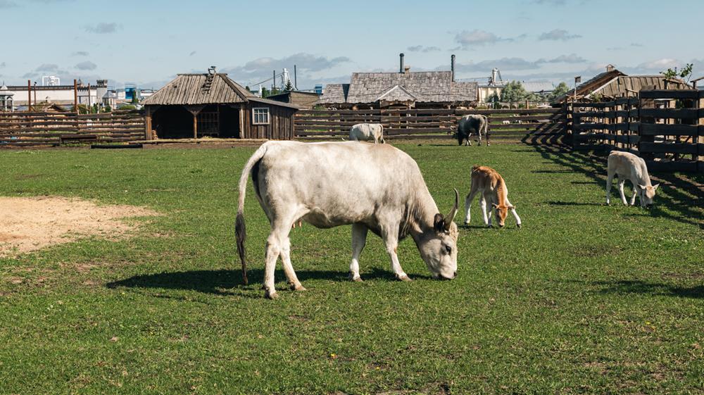 Increased Farm Resilience