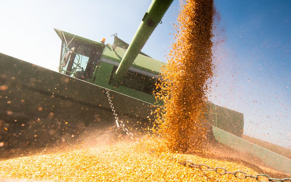 Increased Crop Yields