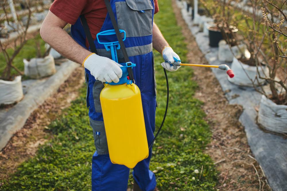 Weed and Pest Management