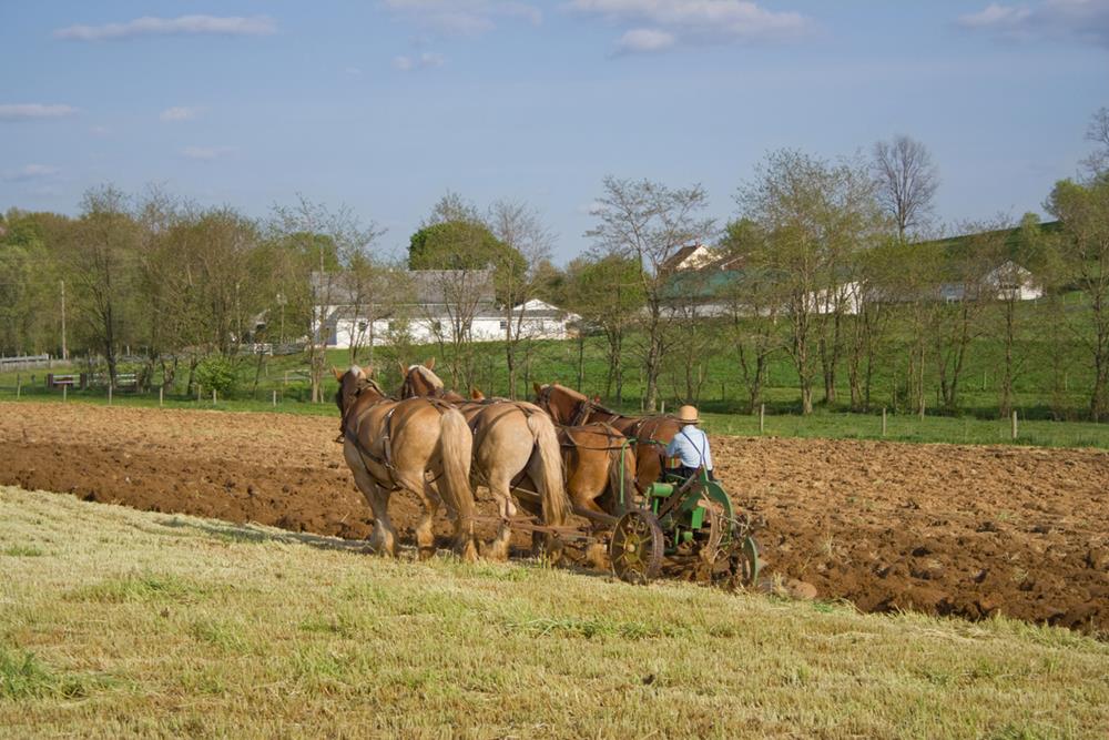 A man plowing his farm with horses