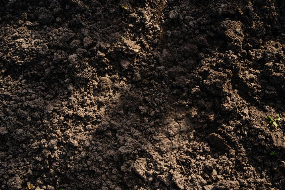 Amend and Protect Soil