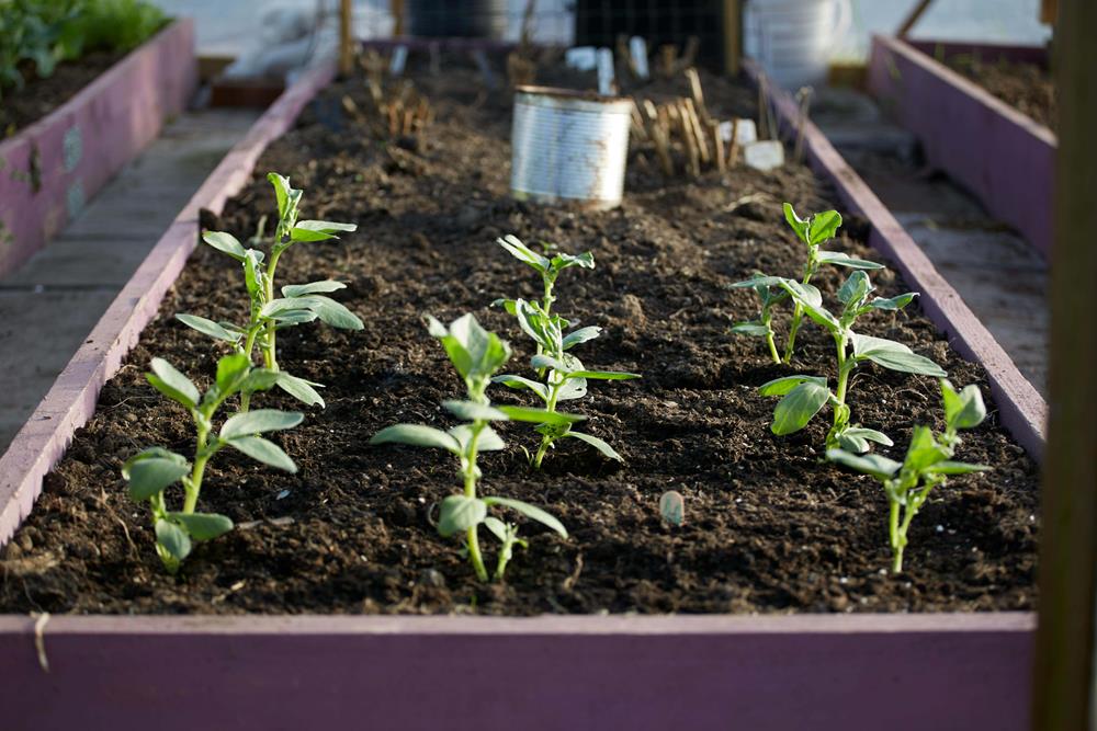 Mulch Garden Beds