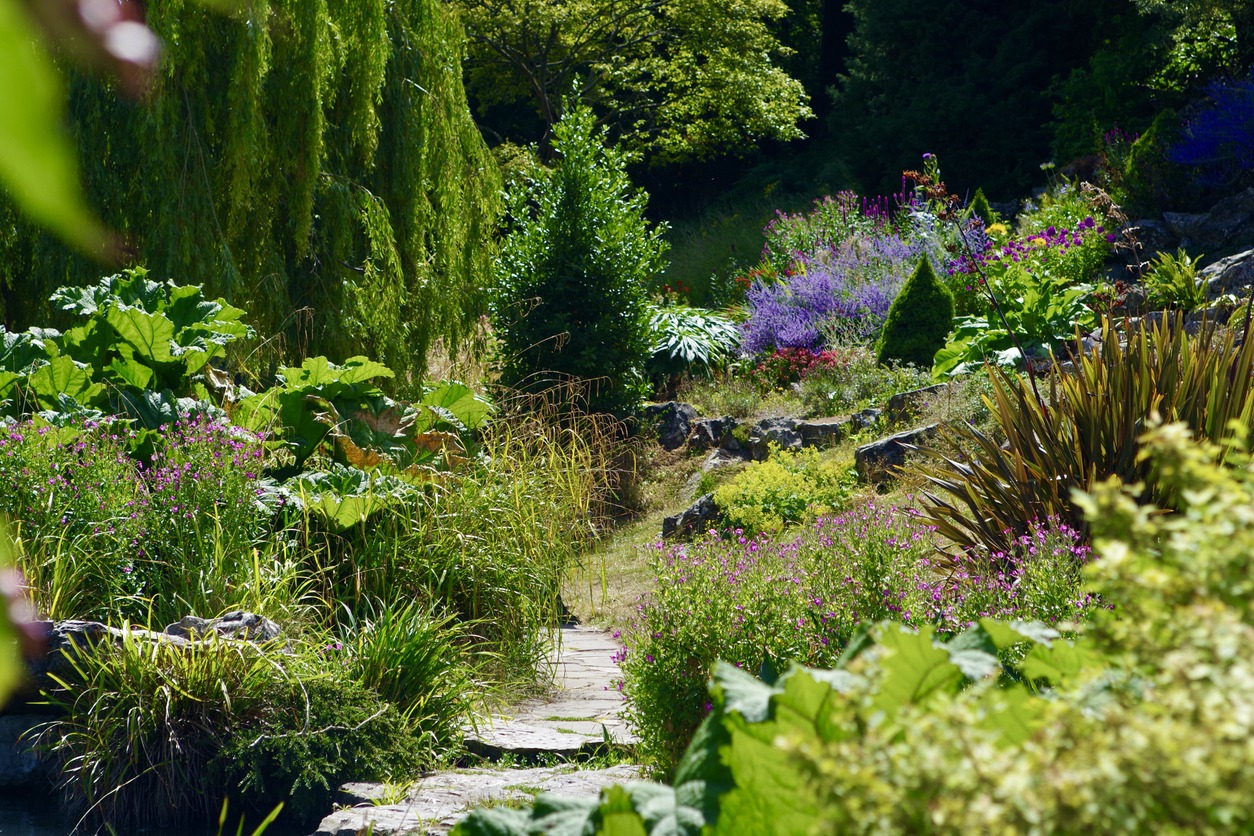 Why Grow Woodland Herbs