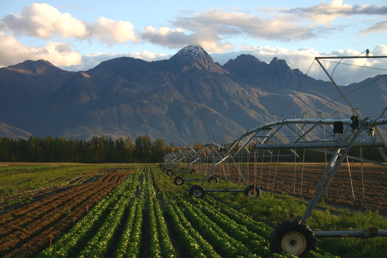 a farmland in Alaska