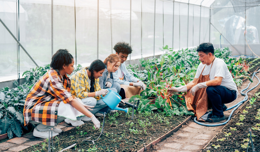Young teen girl and boy working in the vegetable garden, garden expert is teaching group of teenage student
