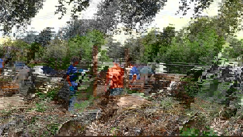 Where to Find Houston’s Oldest Community Gardens