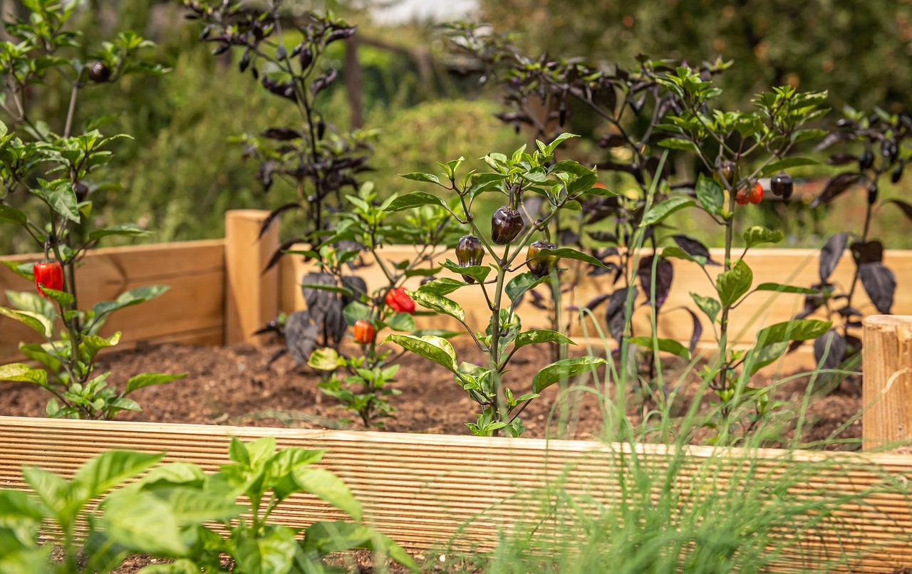 Raised Bed Roundup: Five Styles You May or May Not Have Heard Of