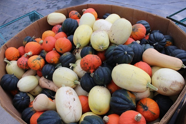 How to Store Your Winter Squash