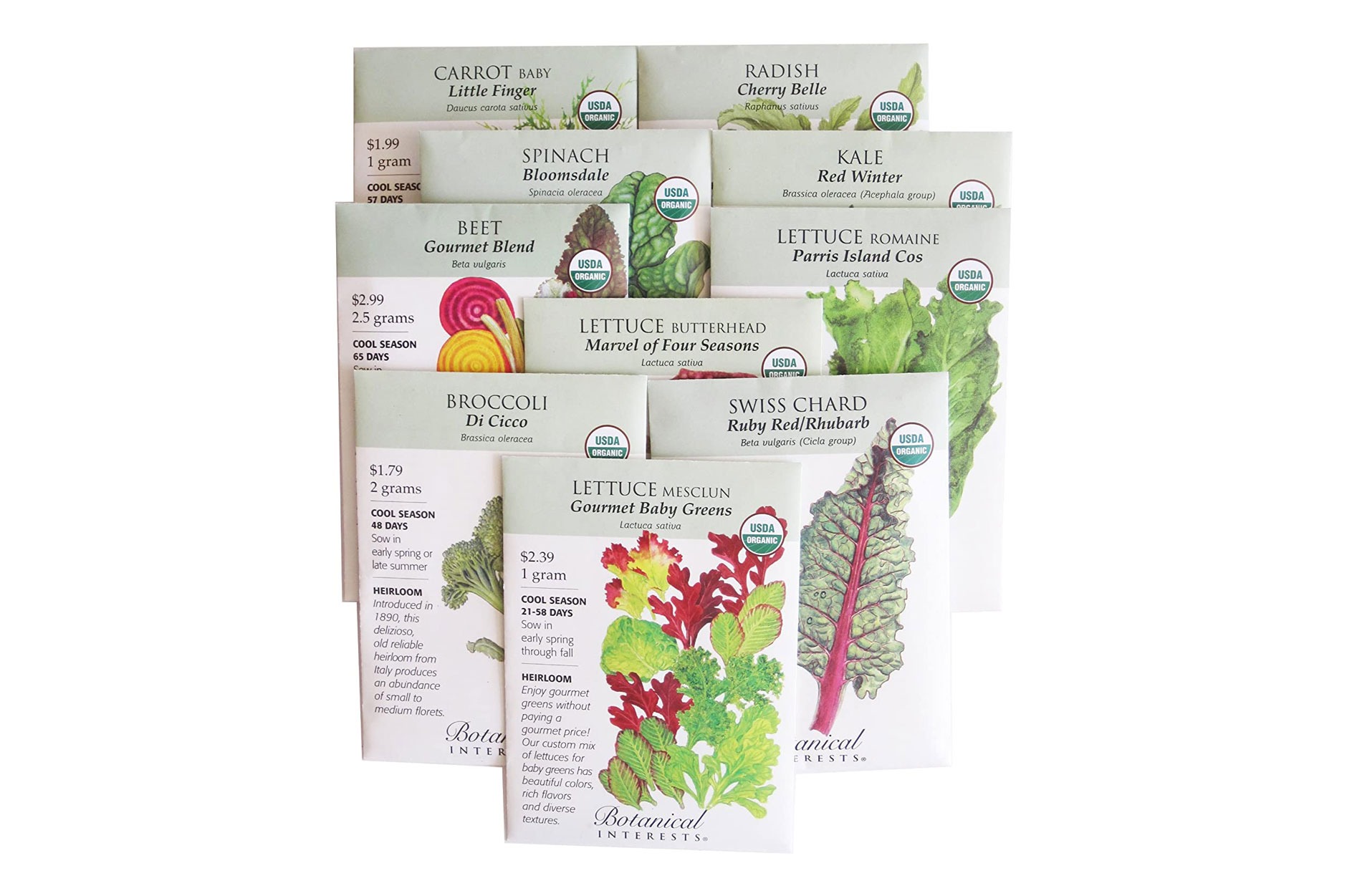 "Fall Back" 10 Organic Vegetable Seeds to Plant in Late Summer By Botanical Interests in Gift Box