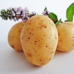 How to Prepare Seed Potatoes for Planting