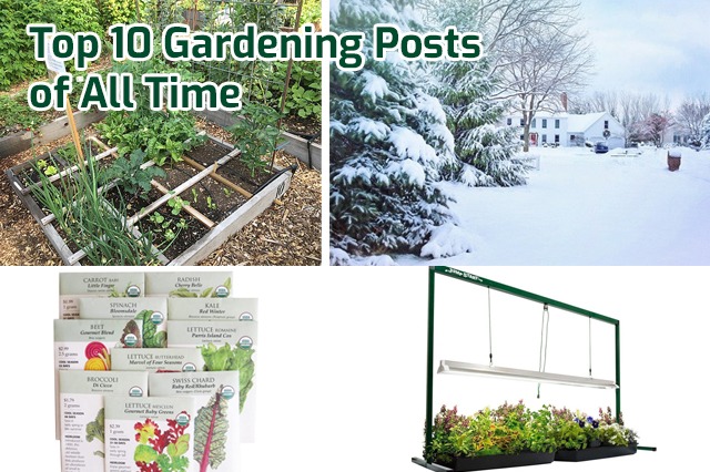 Top 10 Gardening Posts