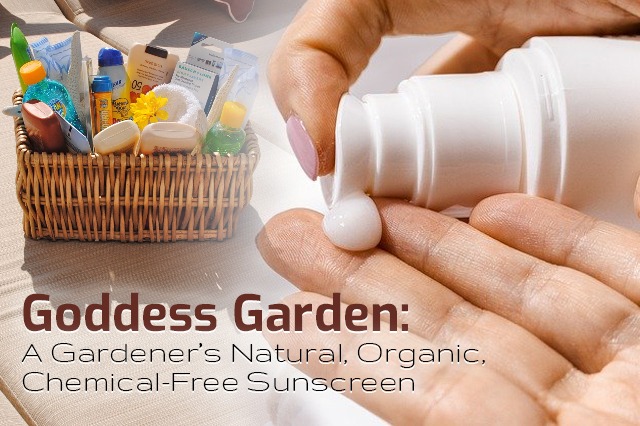 Goddess Garden Sunscreen Review