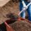 Compost Temperature: Is your compost hot enough?