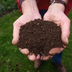 Compost Temperature Is your compost hot enough
