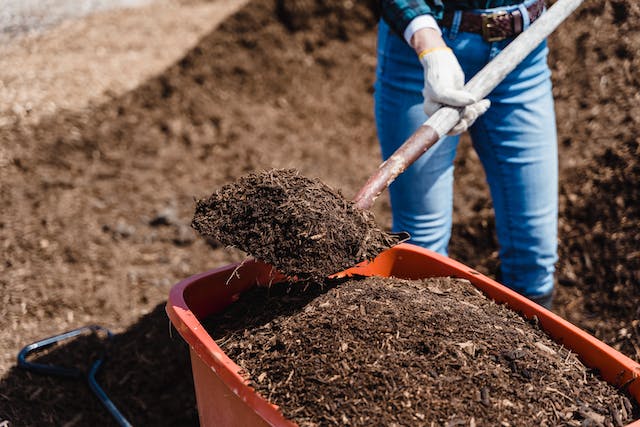 Compost Temperature: Is your compost hot enough?