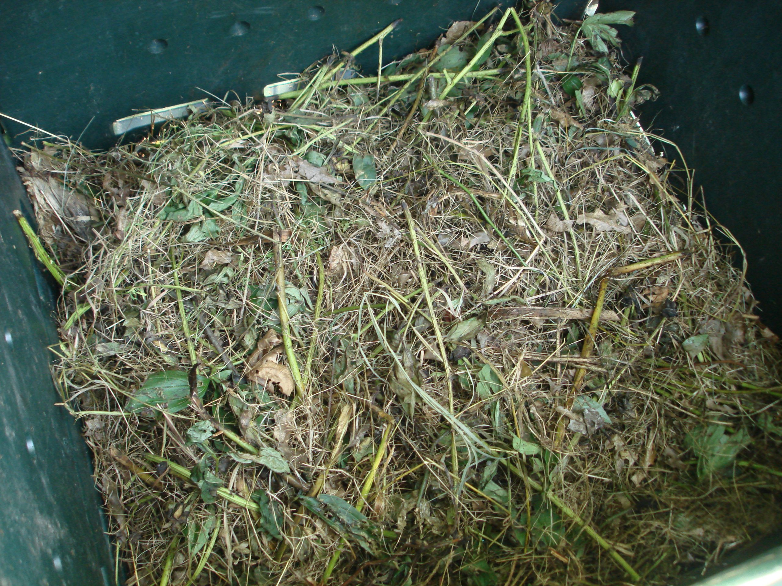 Compost_pile