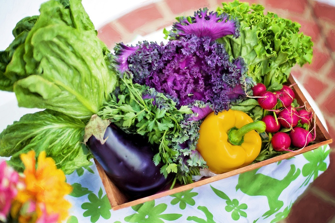 Tips for Freezing Vegetables for Long Term Storage