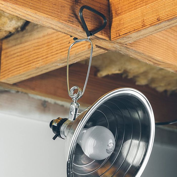 Brooder Lamp Safety Tips