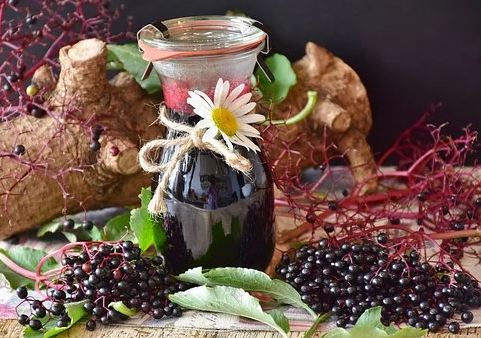The Potential Downsides of Elderberry Syrup