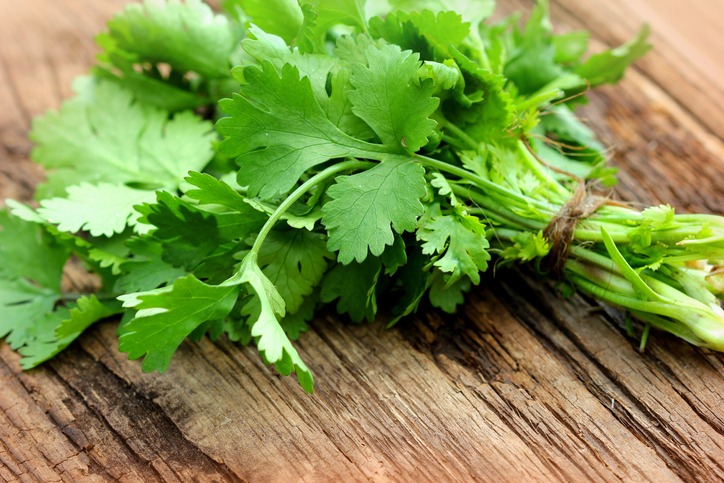 Coriander on a wooden table