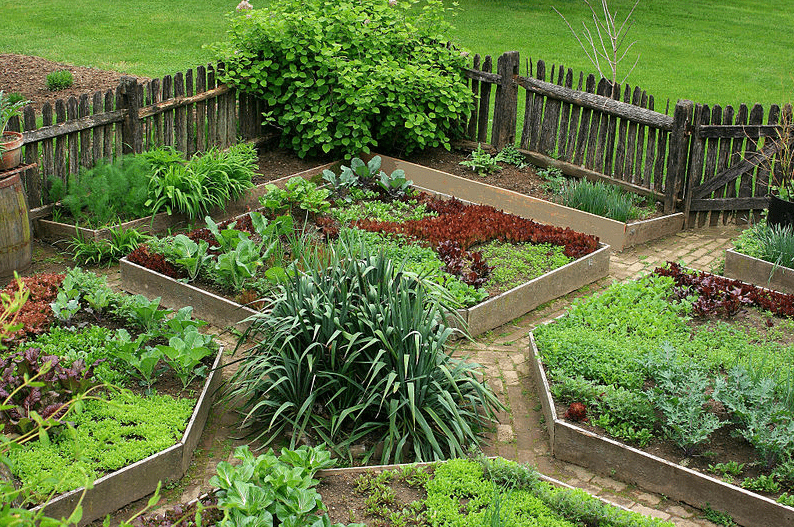 Farm garden at a homestead