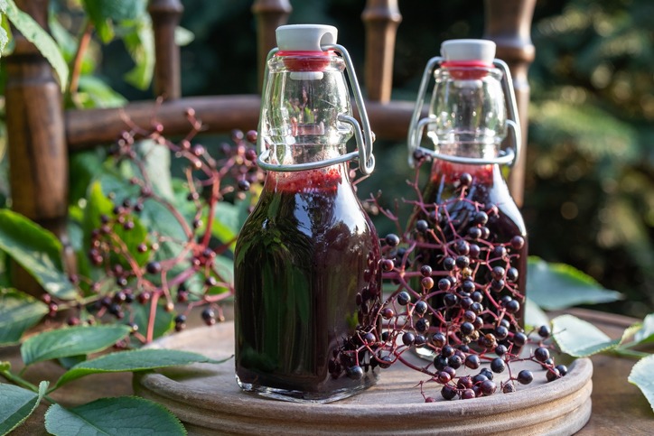 Bottles of black elder syrup with fresh elderberries