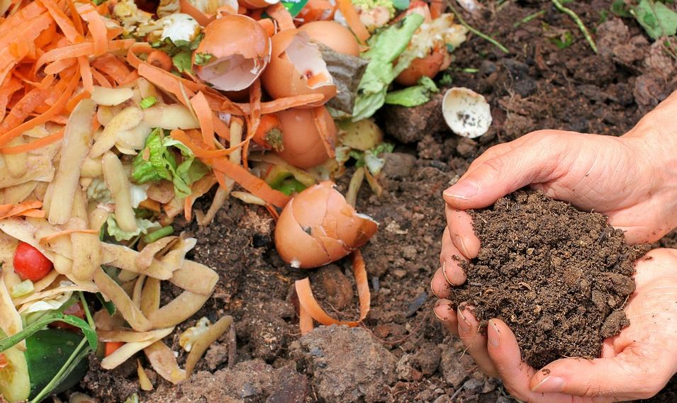 cupped hands full of compost soil with vegetable peels and eggshells in the background
