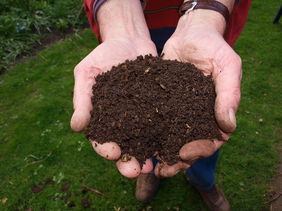Best Ingredients for a Nutrient-Rich Compost