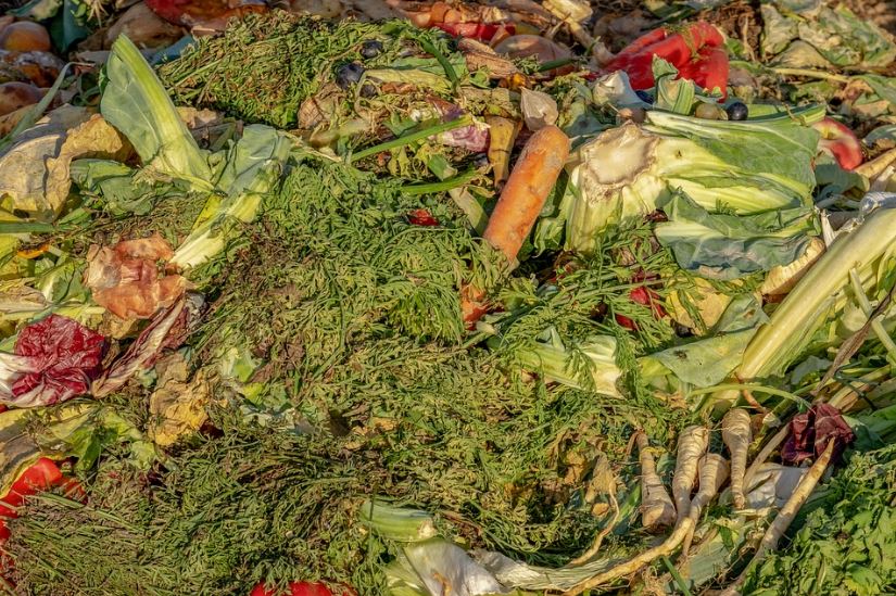 compost-garbage-biological-waste
