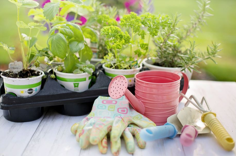 planting-spring-herbs-gardening