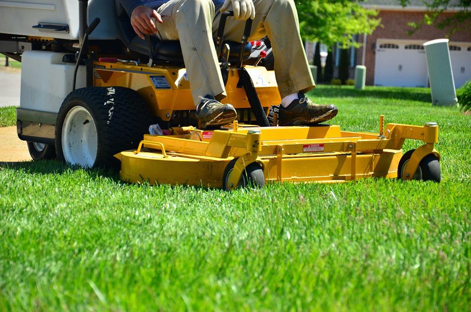 5 Major Benefits of Hiring Professional Lawn Care Services