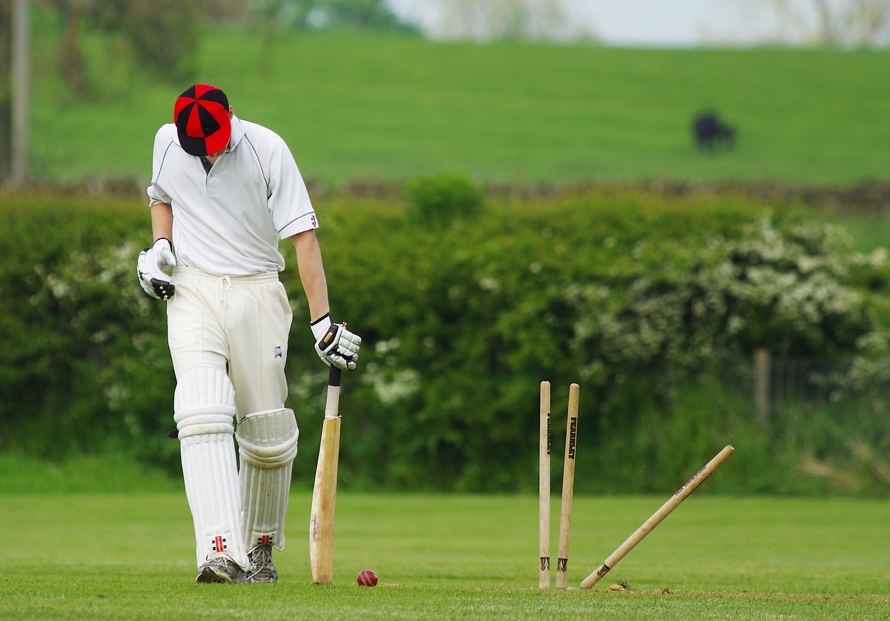 Where is the best place to bet on cricket tournaments?