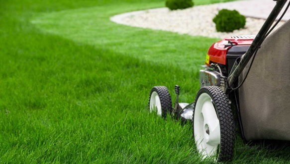 What are Benefits of Lawn Mowing